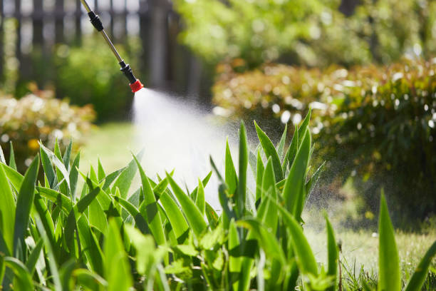 24/7 Emergency Mosquito Control experts in Northlake, IL