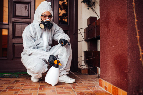 Reliable Mosquito Control contractor in Northlake, IL by Show Me Pest Control